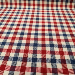 Misc - Gingham Check - Red^Blue